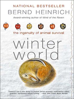cover image of Winter World